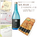 さつま揚げ 鹿児島 さつまあげと焼酎セットB 送料無料 ネット限定 さつまあげの揚立屋