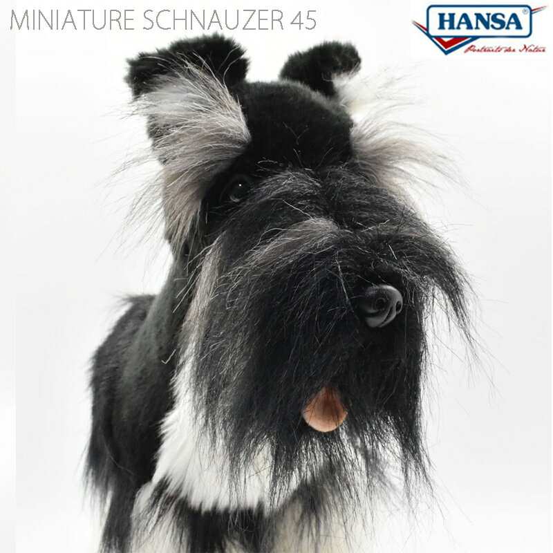 HANSA BH5768 ミニチュアシュナウザー 45 MINIATURE SCHNAUZER 45cm 犬 ドッグ 愛犬 リアル ぬいぐるみ ハンサ クリスマス 誕生日 プレゼント 動物 アニマル 置物 人形 フィギュア KOESEN ケーセン カロラータ 大きい マスコット 実物大 大型 5768