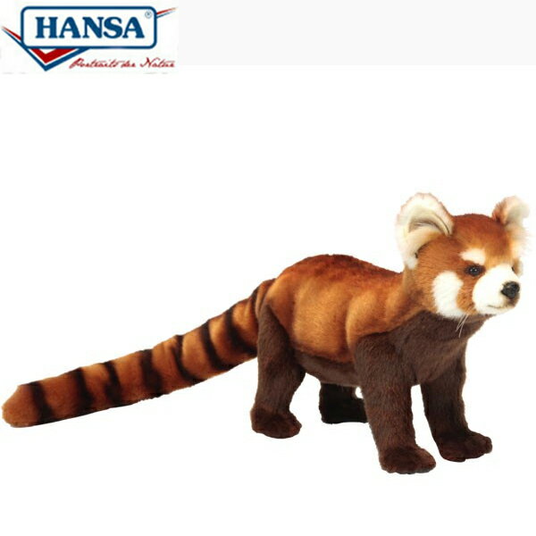 HANSA 6309 レッサーパンダ67 全長:67cm RED PANDA STA BH6309 ぬいぐるみ ハンサ クリスマス 誕生日 プレゼント 動物 犬 猫 鳥 うさぎ ペンギン アニマル 置物 人形 フィギュア KOESEN ケーセン カロラータ 大きい マスコット 実物大 大型
