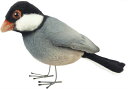 HANSA 7248 ブンチョウ13 全長:13cm JAVA SPARROW BH7248 ぬいぐるみ ハンサ 文鳥 クリスマス 誕生日 プレゼント 動物 犬 猫 鳥 うさぎ ペンギン アニマル 置物 人形 フィギュア KOESEN ケーセン カロラータ 大きい マスコット 実物大 大型