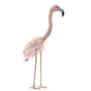 HANSA ピンクフラミンゴ80 H80(cm) 4777 ぬいぐるみ ハンサ クリスマス 誕生日 プレゼント 動物 犬 猫 鳥 うさぎ ペンギン アニマル 置物 人形 フィギュア KOESEN ケーセン カロラータ 大きい マスコット 実物大 大型