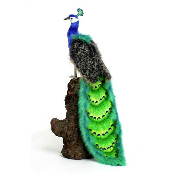 HANSA クジャク100 L100(cm) 5437 ぬいぐるみ ハンサ 孔雀 クリスマス 誕生日 プレゼント 動物 犬 猫 鳥 うさぎ ペンギン アニマル 置物 人形 フィギュア KOESEN ケーセン カロラータ 大きい マスコット 実物大 大型