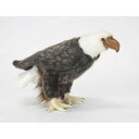 HANSA ハクトウワシ20 H20(cm) 5616 ぬいぐるみ ハンサ 白頭鷲 クリスマス 誕生日 プレゼント 動物 犬 猫 鳥 うさぎ ペンギン アニマル 置物 人形 フィギュア KOESEN ケーセン カロラータ 大きい マスコット 実物大 大型