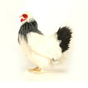 HANSA フランスメンドリ30 H30(cm) 5620 ぬいぐるみ ハンサ クリスマス 誕生日 プレゼント 動物 犬 猫 鳥 うさぎ ペンギン アニマル 置物 人形 フィギュア KOESEN ケーセン カロラータ 大きい マスコット 実物大 大型