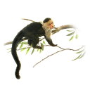 HANSA オマキザル20 H20(cm) 5851 ぬいぐるみ ハンサ クリスマス 誕生日 プレゼント 動物 犬 猫 鳥 うさぎ ペンギン アニマル 置物 人形 フィギュア KOESEN ケーセン カロラータ 大きい マスコット 実物大 大型
