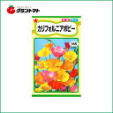 カリフォルニアポピー 花種子 小袋 トーホク【取寄商品】【ゆ...