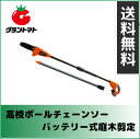 ブラック&デッカー 高枝ポールチェーンソー GPC1820LN 18Vリチウムバッテリー・急速充電器付【高枝切り電動チェーンソー】