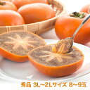 TBSの「この差って何ですか?」で紹介された希少価値の高い柿と同じ渋抜き方法です。紀の川柿 秀品 3L〜2Lサイズ 8〜9玉※サイズ指定はご容赦ください※お届け予定:10月下旬〜11月中旬