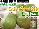 【ポイント5倍】【送料無料】【Lサイズ・12玉・約5kg(キ...