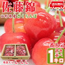 【ポイント5倍】【送料無料】【表面置並べ・大粒L・