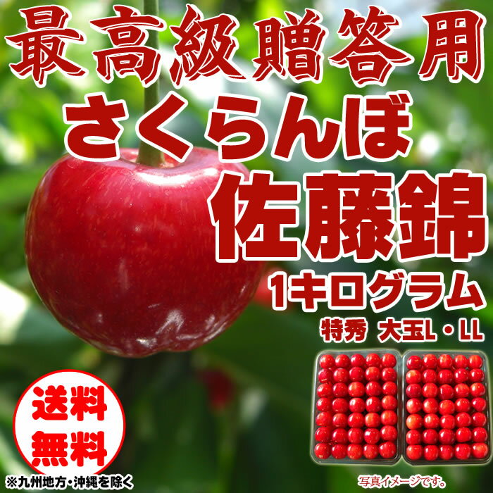 【ポイント2倍】【送料無料】【贈答用・大粒】手詰め山形県東根産特秀さくらんぼ佐藤錦L・LL…...:agripartner:10000000