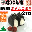 【新米・あす楽】【当日精米】 【送料無料】平成30年度産 山...