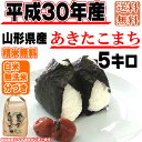 【新米・あす楽】【当日精米】 【送料無料】平成30年度産 山...