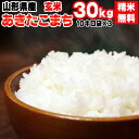 【当日精米】 【送料無料】平成30年度産 山形県産あきたこま...