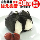 【当日精米】 【送料無料】令和元年度産 山形県産はえぬき 玄米 30kg(10kg×3袋)【白米