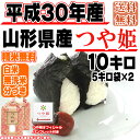 【あす楽】【当日精米】 【送料無料】平成29年度産 山形県産...