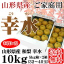 【9月上旬から順次発送】【送料無料】【ご家庭用】【