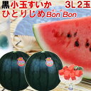        ̂iE3L~2 R`Y ʂ ЂƂ肶 BonBon[ЂƂ肶bonbon3L2]