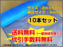 【メーカー直送】【送料無料】【代引手数料無料】防風ネット（青）4mm目 2m×50m 【10本セット】【4582193311287】