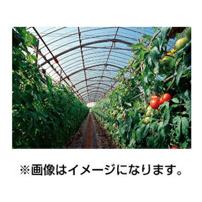 アキレス 農ビ 晴天(ノンキリーあすか) 巾200cm 厚さ0.1mm 100m巻 農業資材 ビニール温室 農ビ 農業用ハウス ハウス栽培 農ポリ 農業ハウス 農業用ビニール 園芸資材 園芸用品 園芸 農業用ビニールフィルム アキレス 農ビ 晴天(ノンキリーあすか) 巾200cm 厚さ0.1mm 100m巻 農業資材 ビニール温室 農ビ 農業用ハウス ハウス栽培 農ポリ 農業ハウス 農業用ビニール 園芸資材 園芸用品 園芸 農業用ビニールフィルム