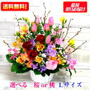 生花アレンジメント 選べる 桜 桃 春の花【Lサイズ】 生花アレンジメント 選べる 桜 桃 春の花【Lサイズ】