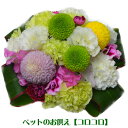 ペット お供え 生花アレンジメント ペット用フラワーギフト・お供え コロコロ ペットお悔み 画像配信OK ペット供養 供花 お悔やみ お供え 命日 即日 洋風 HLS DU 立て札 RCP ペット お供え 生花アレンジメント ペット用フラワーギフト・お供え コロコロ ペットお悔み 画像配信OK ペット供養 供花 お悔やみ お供え 命日 即日 洋風 HLS DU 立て札 RCP