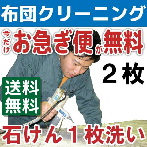 布団クリーニング2枚パック 送料無料 羽毛布団もOK 布団丸洗い 羊毛 シングル・ダブル・掛布団・毛布・枕・座布団も！