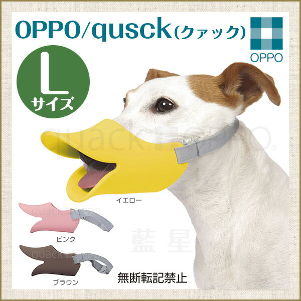 OPPO オッポ quuack クァック Lサイズ 【営業日午前10時迄のご注文で当日発送】