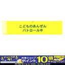 【期間限定!PCエントリーでポイント10倍!】こどものあんぜ...