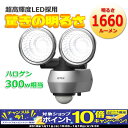 【期間限定!PCエントリーでポイント10倍!】驚きの1660ルーメンでLED最高峰の明るさと省エネを兼ね備えています。 センサーライト RITEX(ライテックス)LED10W×2灯 LED-AC2020 屋外用 AC100V 防犯グッズ