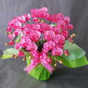 胡蝶蘭-ピンク 5F高さ50cm×巾40cm造花・光触媒