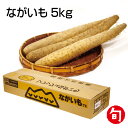 【12月上旬より順次出荷】ながいも 5kg 長野県産 とろろ お正月 年末年始 山形村 お歳暮 贈り物 【2020冬ギフト】【送料無料】【00】