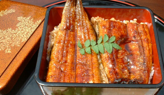 浜名湖うなぎのあいかね特上うなぎ白焼き4匹セット