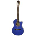   ARIA AA A-48CE SBL See-through Blue {fB GKbg smtb-TK 