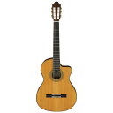 【送料込】Jose Antonio ホセ・アントニオ NO.7CE スペイン製 エレガット Fishmanピックアップ搭載 【smtb-TK】