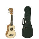 【ポイント10倍】【送料込】【ケース付】KALA/カラ KA-FMSG スプルース単板 ソプラノ ウクレレ【smtb-TK】
