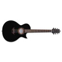 【ポイント2倍】【送料込】GrassRoots グラスルーツ G-AC-50N See Thru Black Satin ナイロン弦 エレキ感覚 エレガット【smtb-TK】