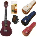 【ポイント2倍】【送料込】【バッグ3色より選択可】【Ibanez IUBC541付5点セット】ARIA アリア AU-1C マホガニーボディ コンサートウクレレ 【smtb-TK】