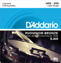 【ポイント2倍】【メール便・送料無料・代引不可】【2セット】D'Addario ダダリオ EJ69 5弦 バンジョー弦 Phosphor Bronze【smtb-TK】
