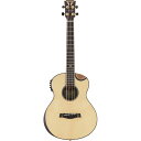 【送料込】TRAVELER GUITAR CL-3BE BASS コンパクトサイズ エレアコ・ベース【smtb-TK】