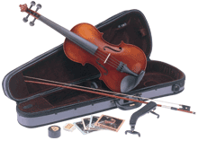 【ポイント2倍】【送料込】Carlo giordano VS-1 バイオリン...:aikyoku:10005783