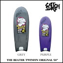 CATCH SURF キャッチ サーフ BEATER ORIGINAL 54
