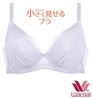 セール20％OFFワコール<strong>ブラジャー</strong>DEFGカップ<strong>小さく見せるブラ</strong>【<strong>BRB422</strong>】