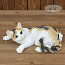 限定商品!ベニーズキャット (QY-87MIX)