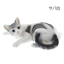 限定商品!ベニーズキャット サバ白 (QY-87)