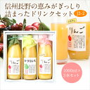 果汁100% ジュース(J3-2) (りんご・ラフランス・果...
