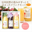 ジュース・ドリンク 3本 ギフト セット(J3-4)(りんご...