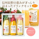 ジュース ドリンク 3本セット(J3-5)(りんご・マンゴー...