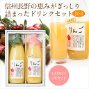 果汁100% ジュース2本セット(J2-2)(りんご・果肉入...