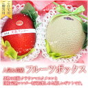 【送料無料】人気&高級 フルーツボックス【のし・メッセージカード・ギフト 包装】静岡産 クラウン マスクメロン 国産 完熟 マンゴー お祝 プレゼント 父の日 手土産 お返し 内祝い 誕生日 御礼 お礼 御供 お供 お中元 暑中見舞い お歳暮 季節の果物 フルーツ くだもの